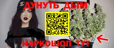 индика Изобильный