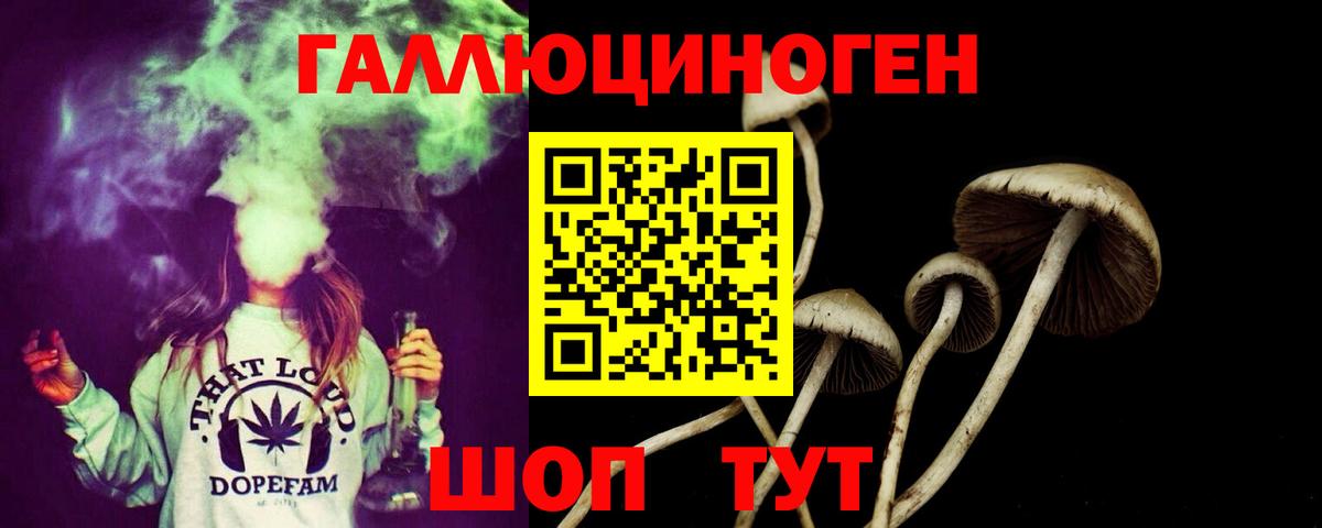 купить  сайты  Вход с VPN  Курчатов  Галлюциногенные грибы Cubensis  Псилоцибиновые грибы мухоморы 